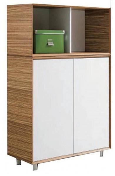Evolution Cabinet