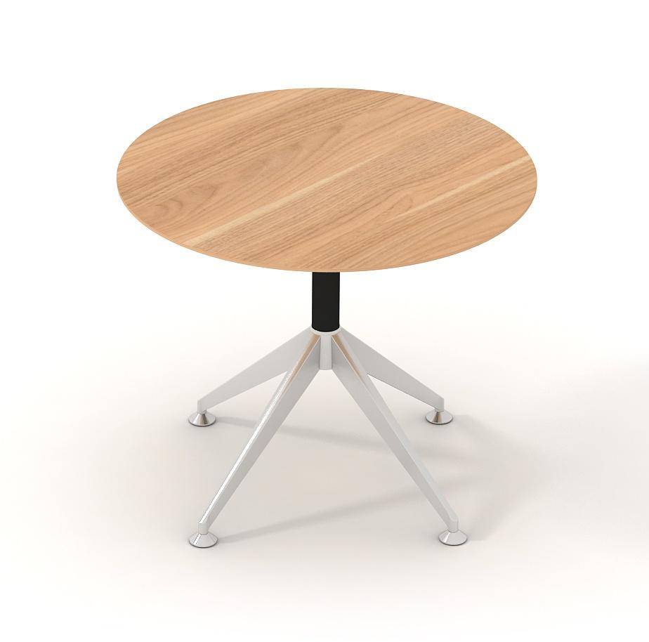 Potenza Round Table