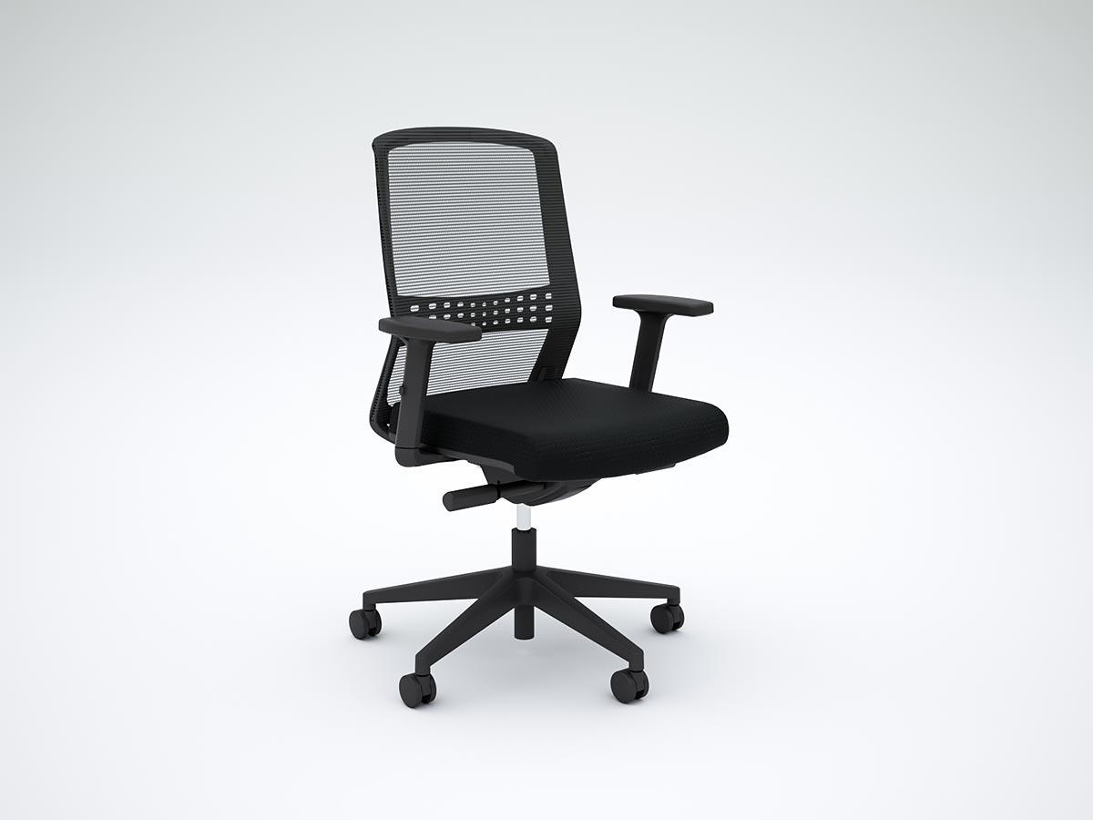 Motion Sync Chair with Lumbar and Armrests