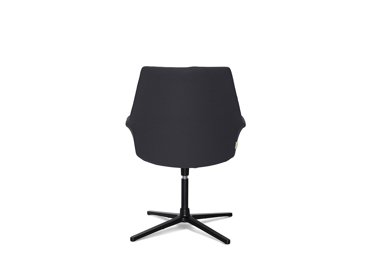 Boston Meeting Chair - Image 4