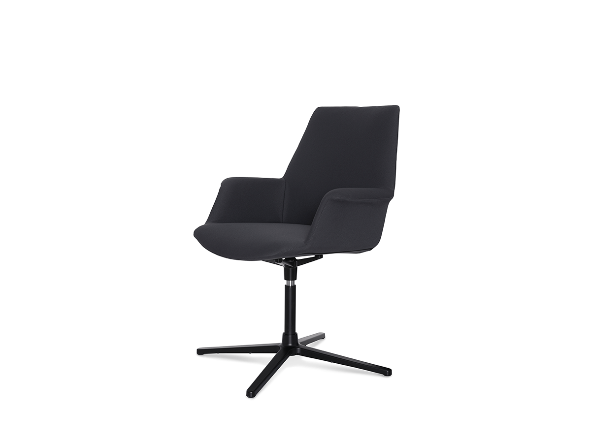 Boston Meeting Chair - Image 2