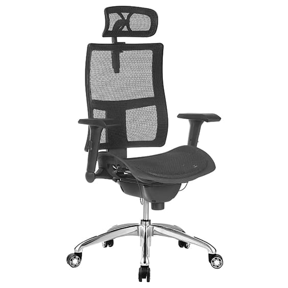 Zodiac Chair